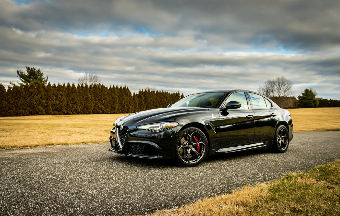 Фото обои Alfa Romeo, black, trees, Giulia Quadrifoglio