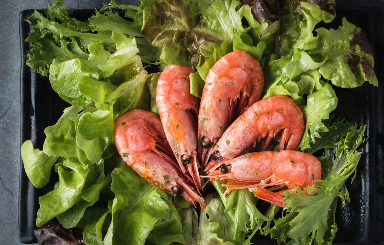 Фото обои зелень, салат, креветки, морепродукты