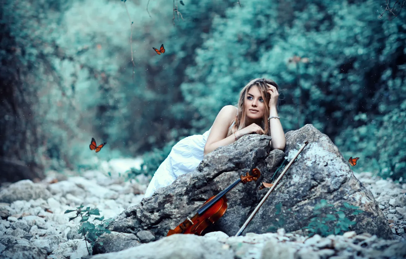 Фото обои девушка, скрипка, смычок, Butterflies, Alessandro Di Cicco