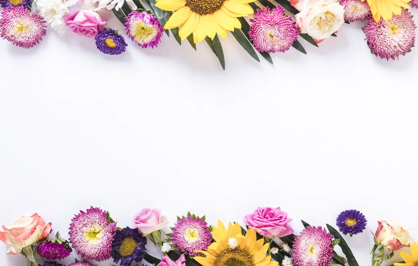 Фото обои цветы, фон, colorful, flowers