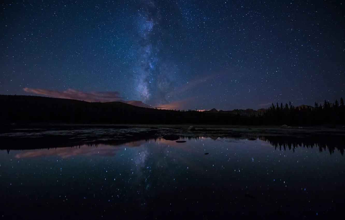 Фото обои лес, звезды, ночь, озеро, отражение, млечный путь