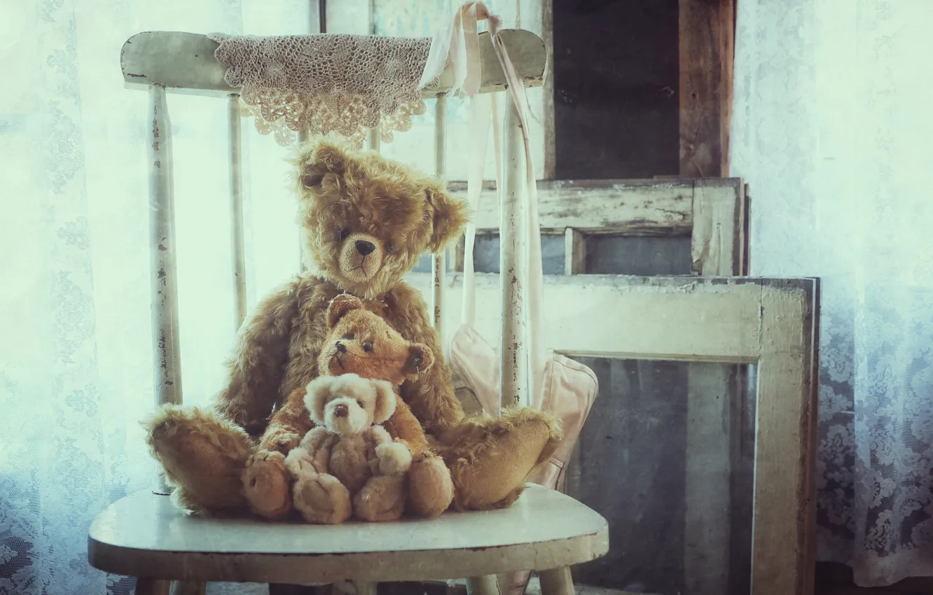 Фото обои игрушки, стул, плюшевые мишки, Три медведя