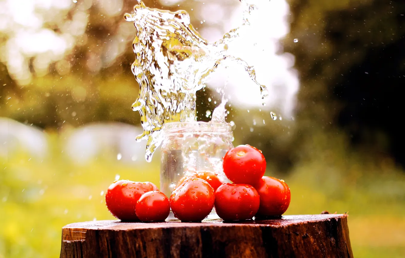 Фото обои вода, брызги, пень, банка, помидоры
