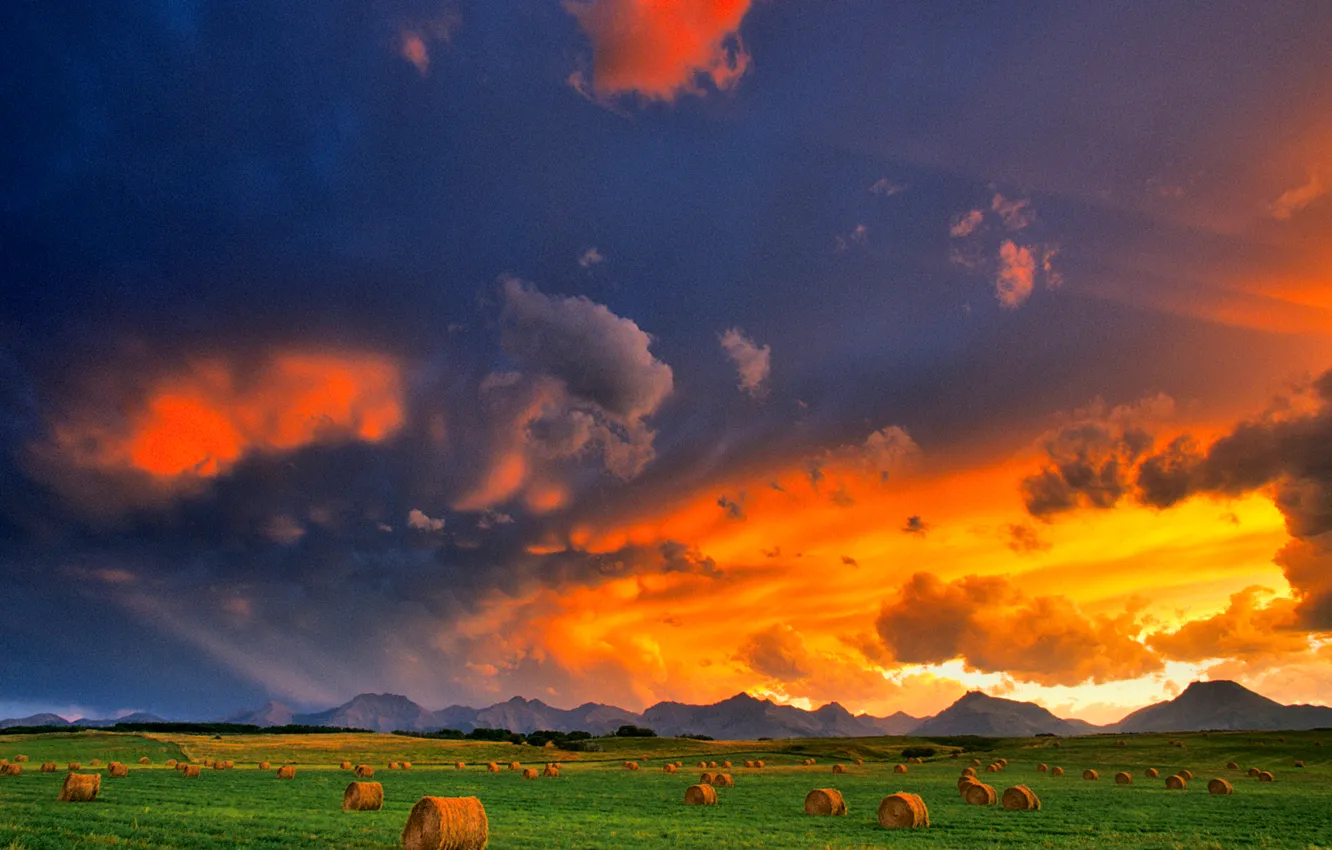Фото обои поле, небо, облака, закат, сено, зарево