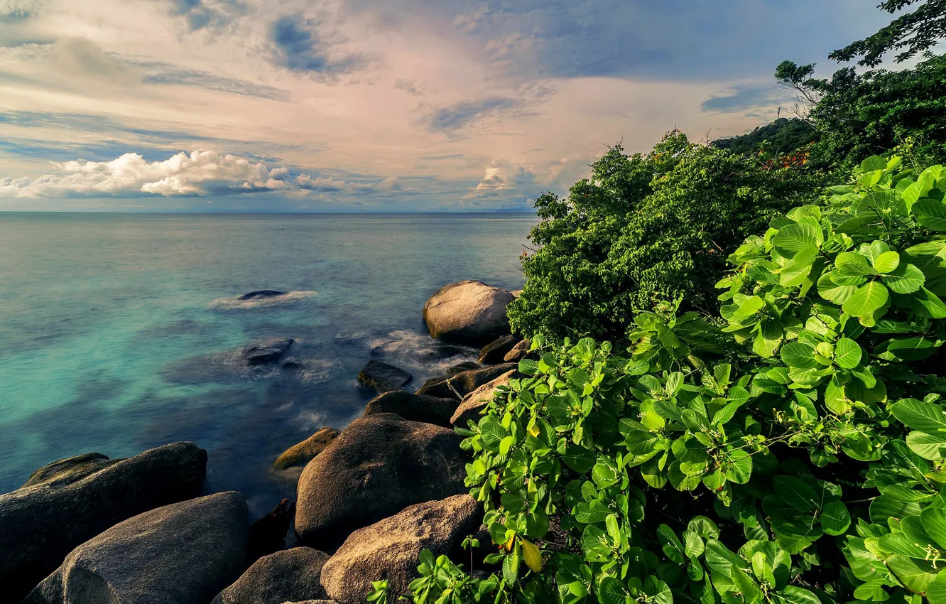 Фото обои море, зелень, вода, природа, тропики, камни, куст