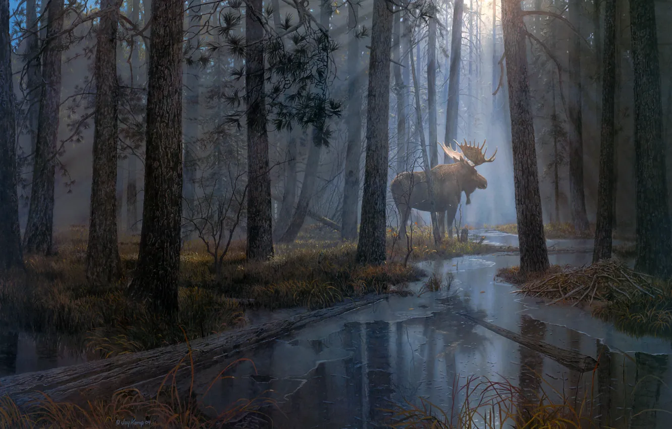 Фото обои лес, лучи, свет, туман, берег, рисунок, картина, арт