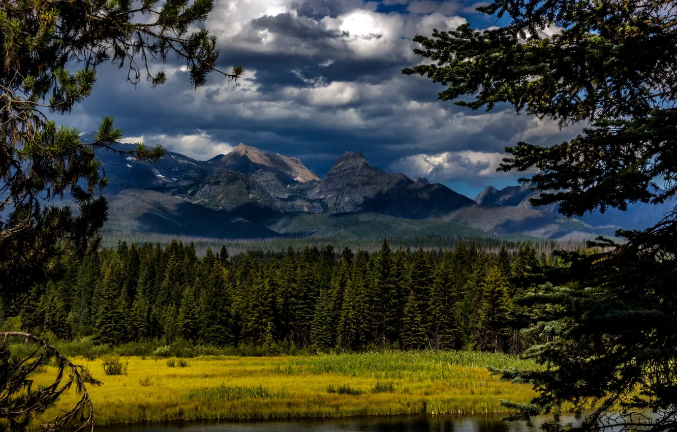 Фото обои лес, облака, деревья, горы, река, Канада, Glacier National Park, Montana