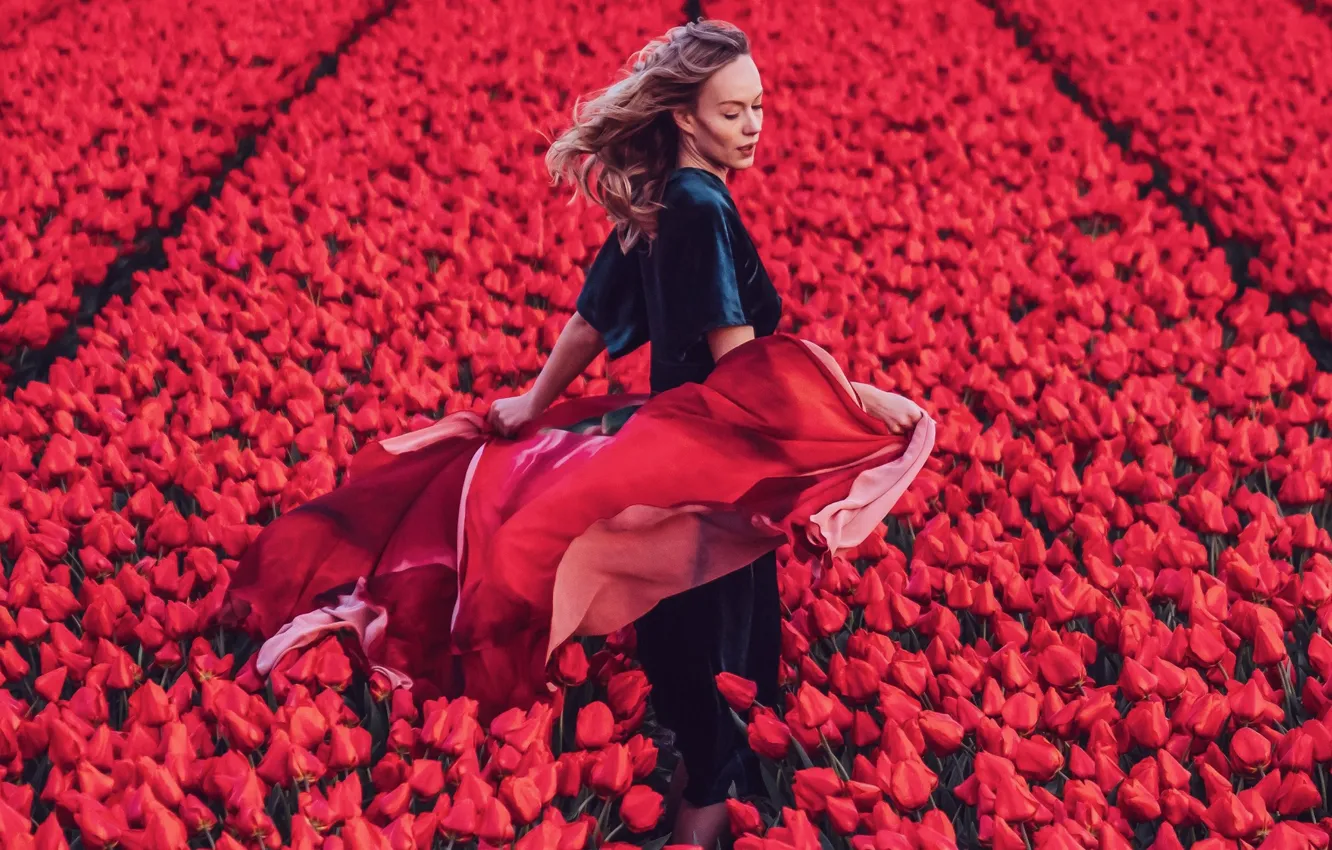 Фото обои поле, девушка, цветы, поза, волосы, тюльпаны, Кристина Макеева