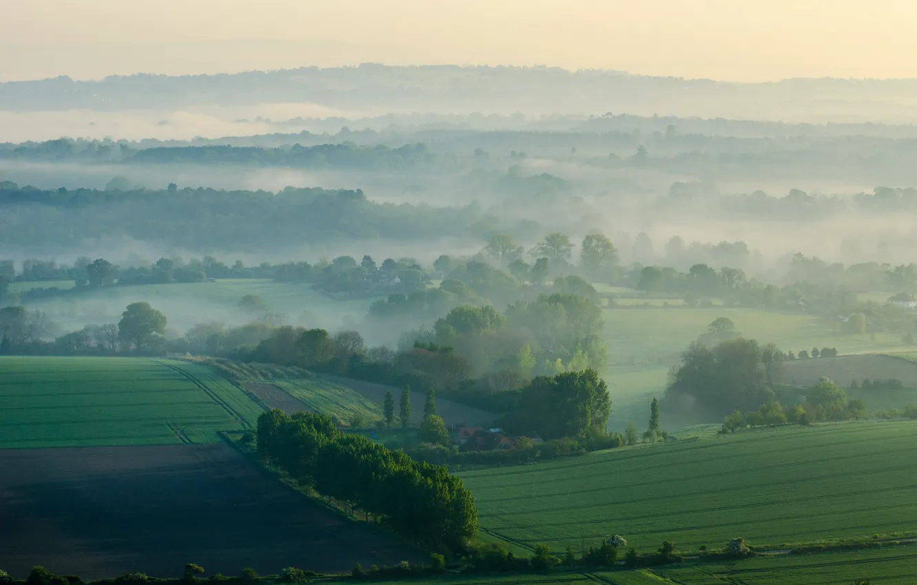 Фото обои поле, небо, трава, деревья, туман, холмы, утро