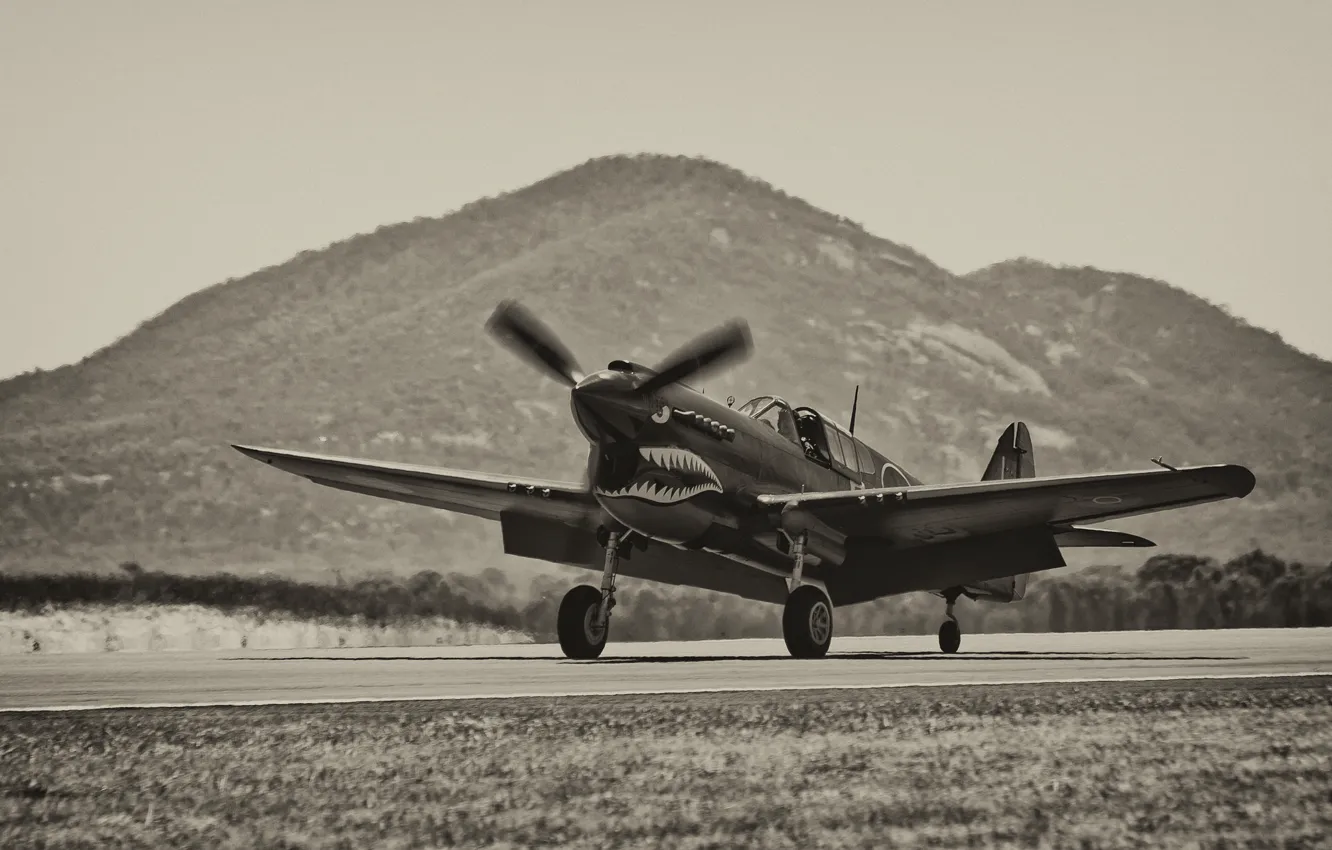Фото обои истребитель, аэродром, P-40, Warhawk