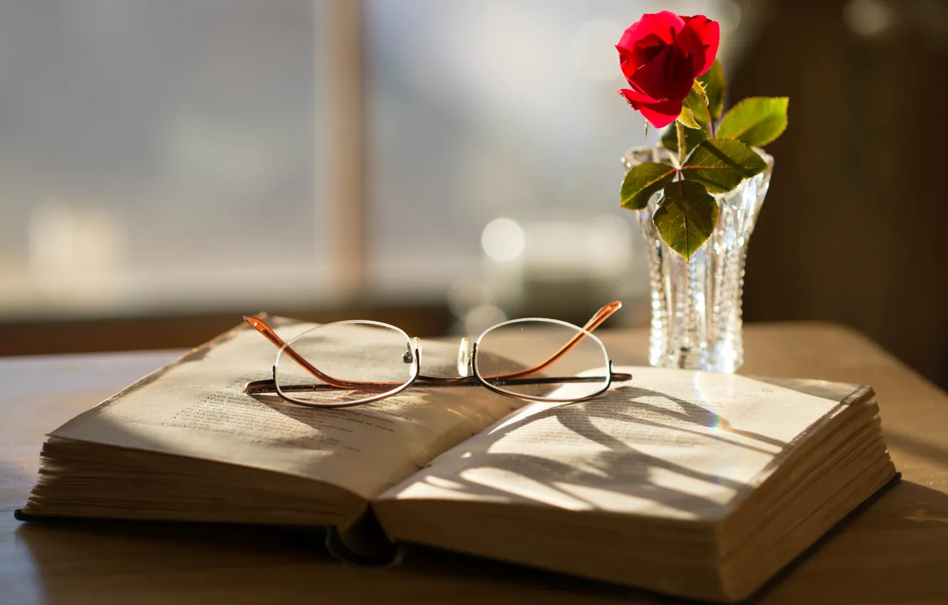 Фото обои роза, очки, книга