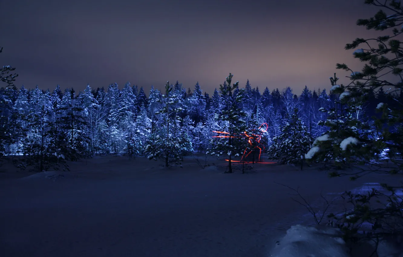 Фото обои зима, лес, ночь, силуэт, олимпиада, лыжник