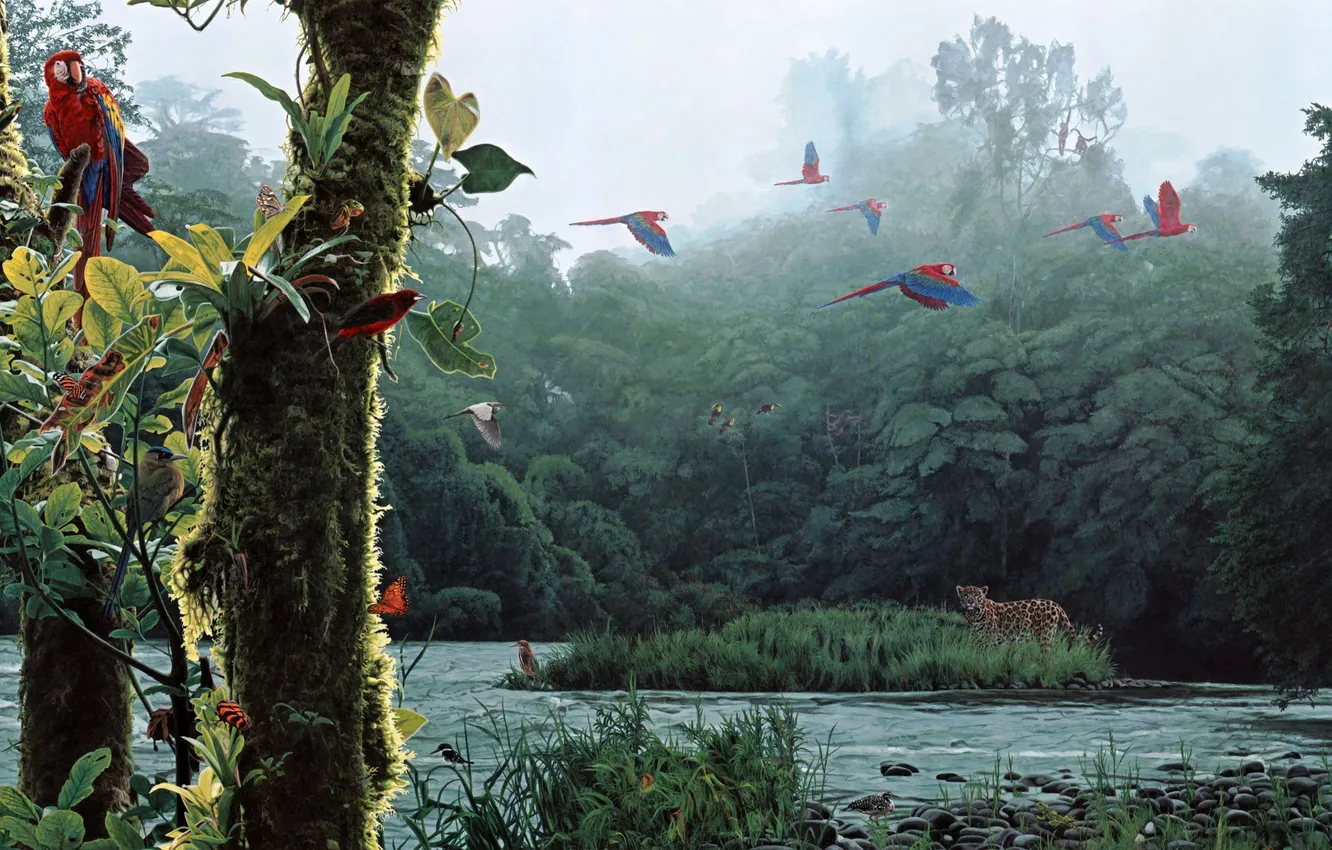 Фото обои лес, река, арт, леопард, попугаи, Rod Frederick
