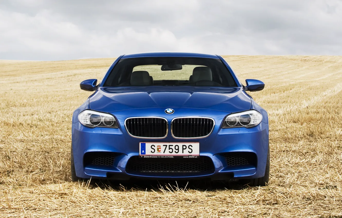 Фото обои поле, синий, BMW, передок