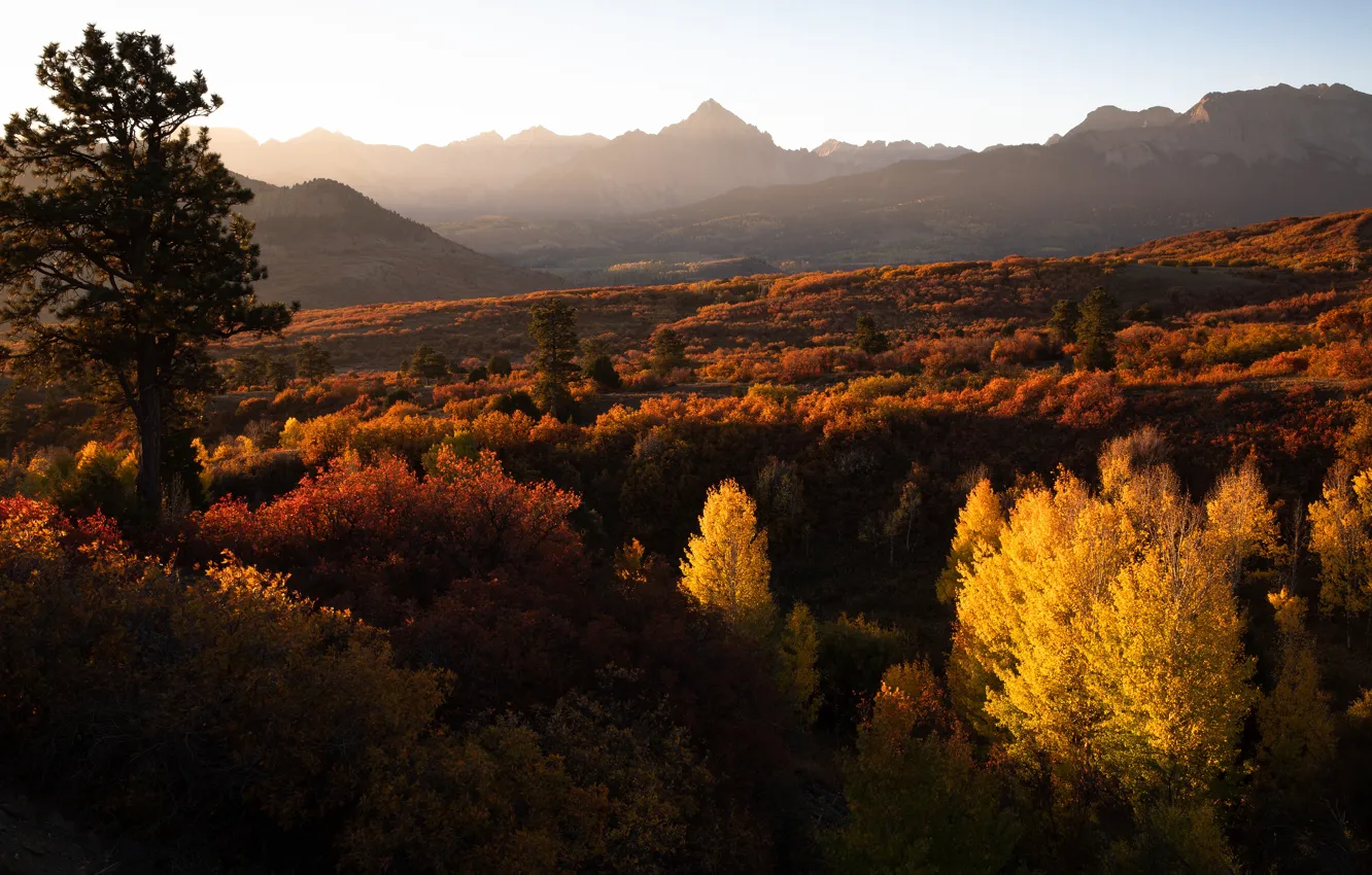 Фото обои осень, лес, небо, свет, деревья, пейзаж, горы, природа