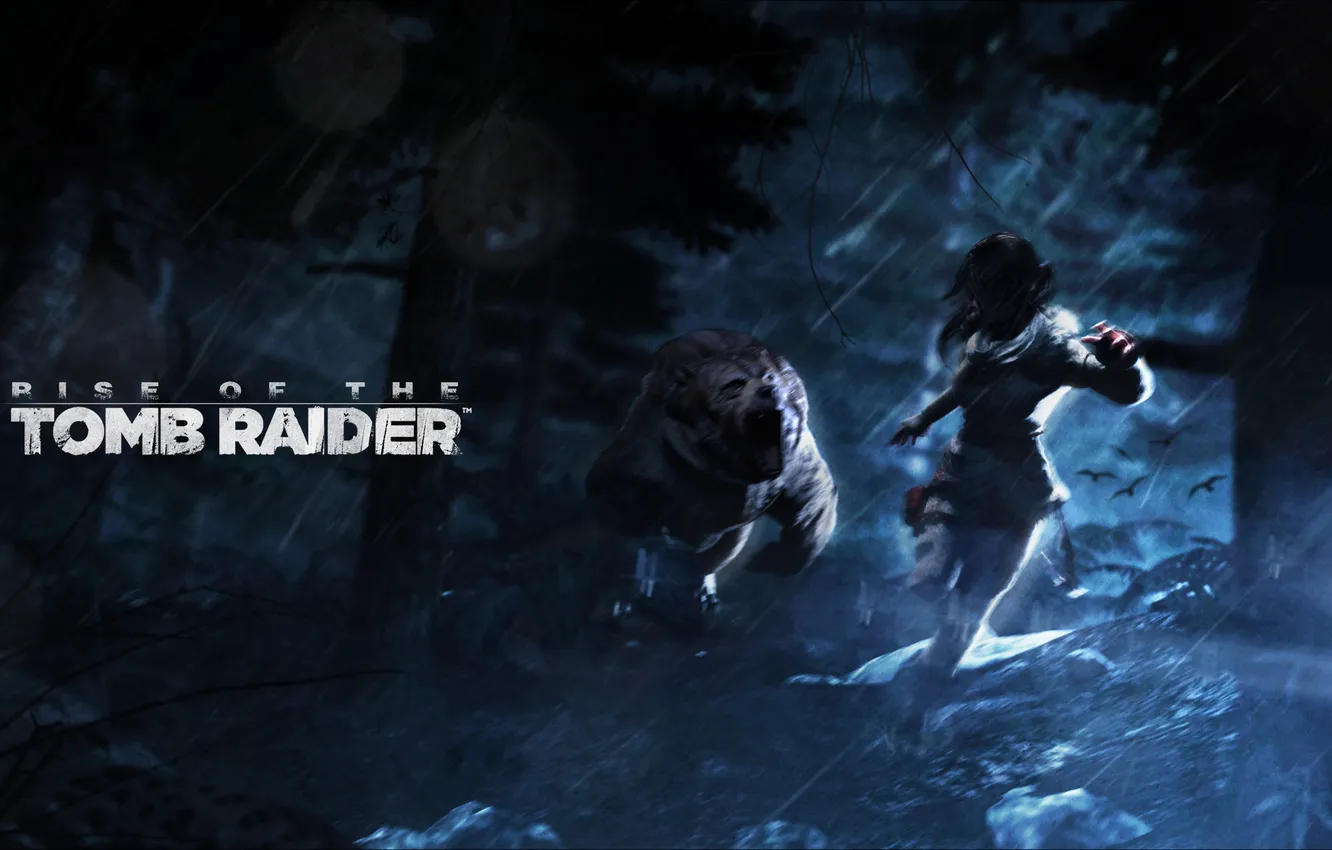 Фото обои лес, ночь, погоня, медведь, tomb raider, Lara Croft, Rise of the Tomb Raider