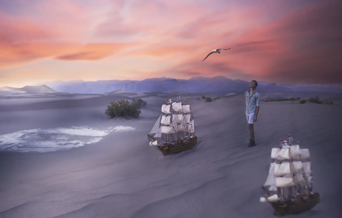 Фото обои песок, птица, человек, корабли