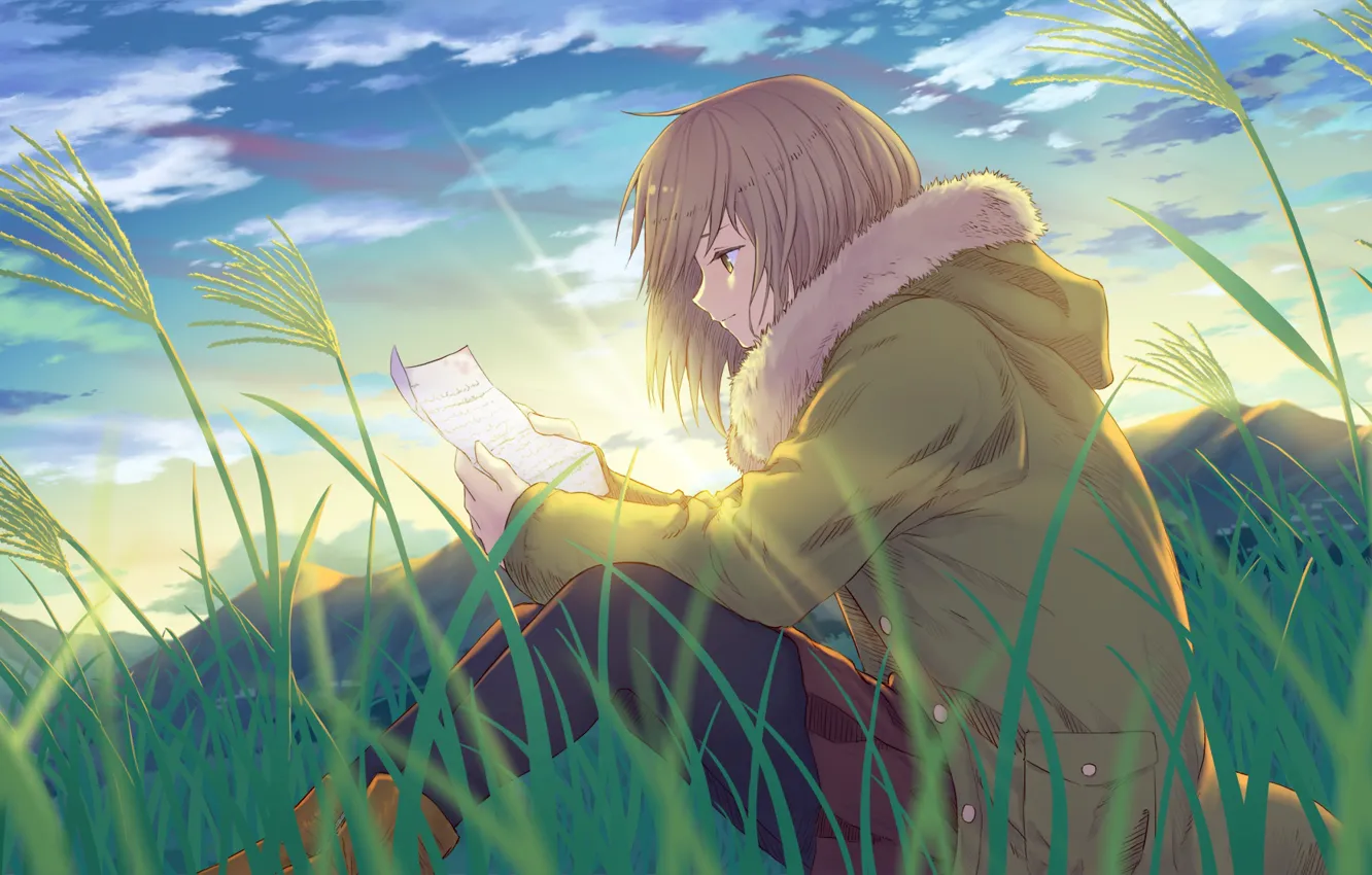 Фото обои поле, трава, письмо, девушка