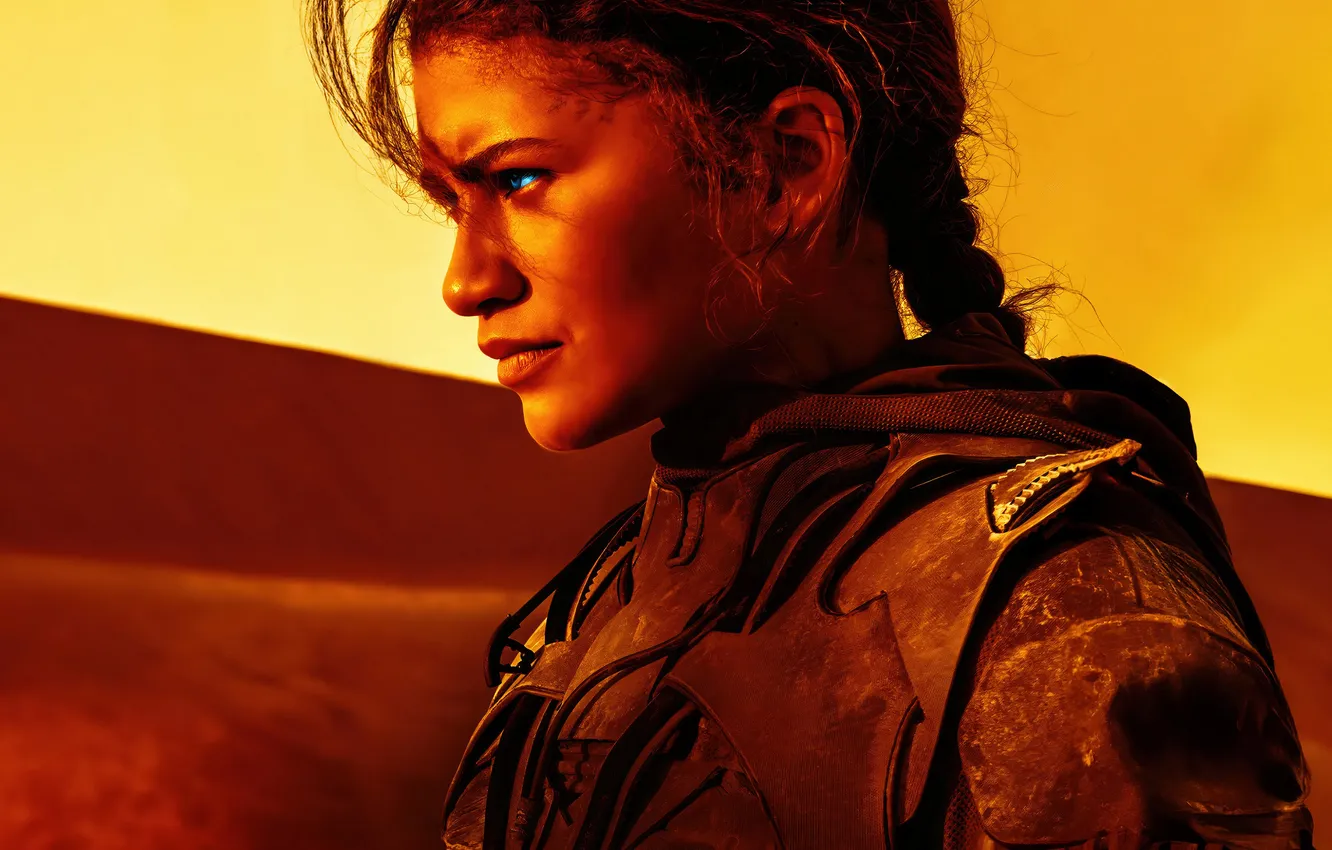 Фото обои песок, закат, профиль, Zendaya Coleman, Зендая, Zendaya, Дюна: Часть вторая, Dune: Part Two