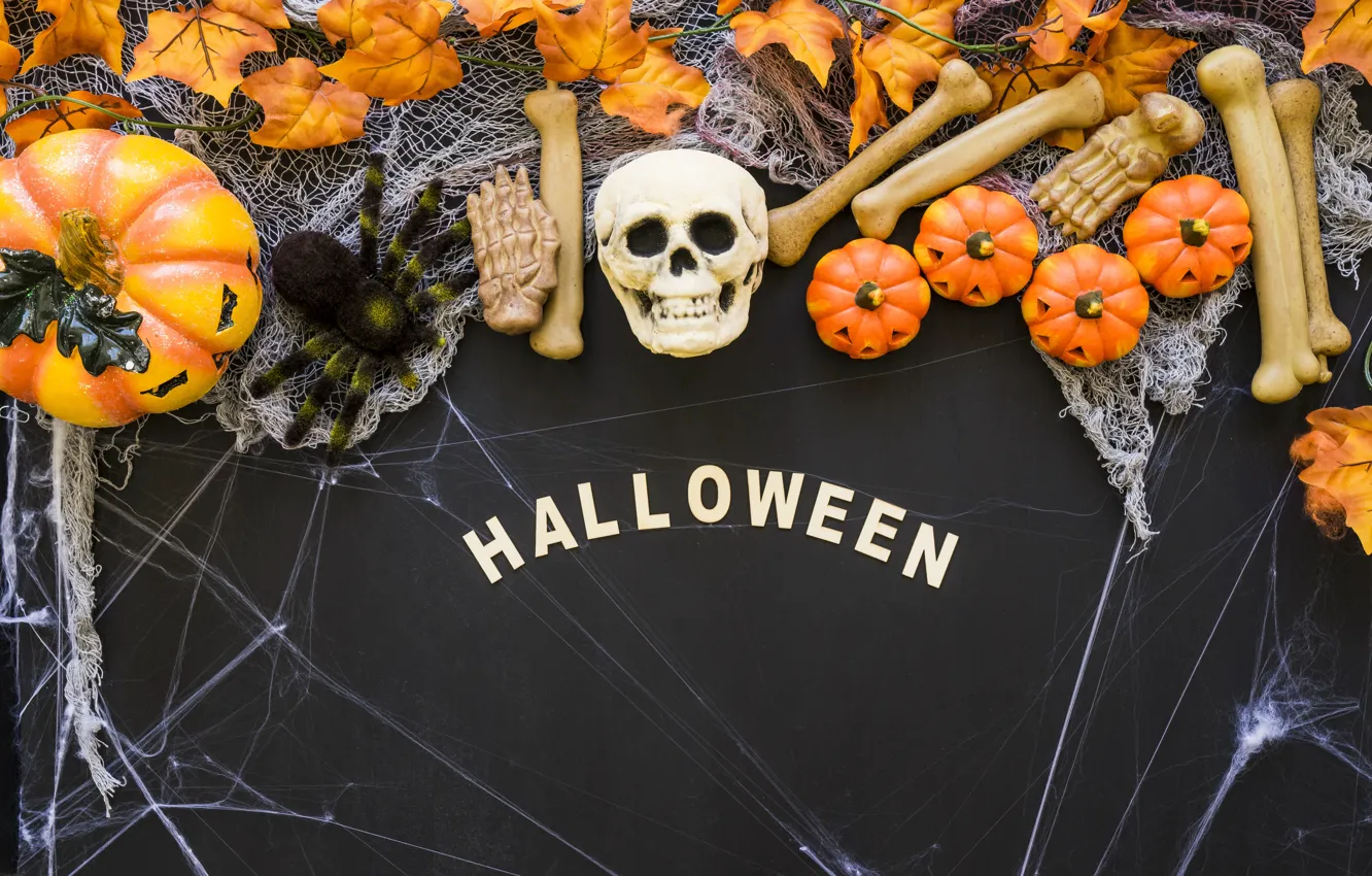 Фото обои череп, паутина, кости, Halloween, тыква, skull, Хэллоуин, pumpkin