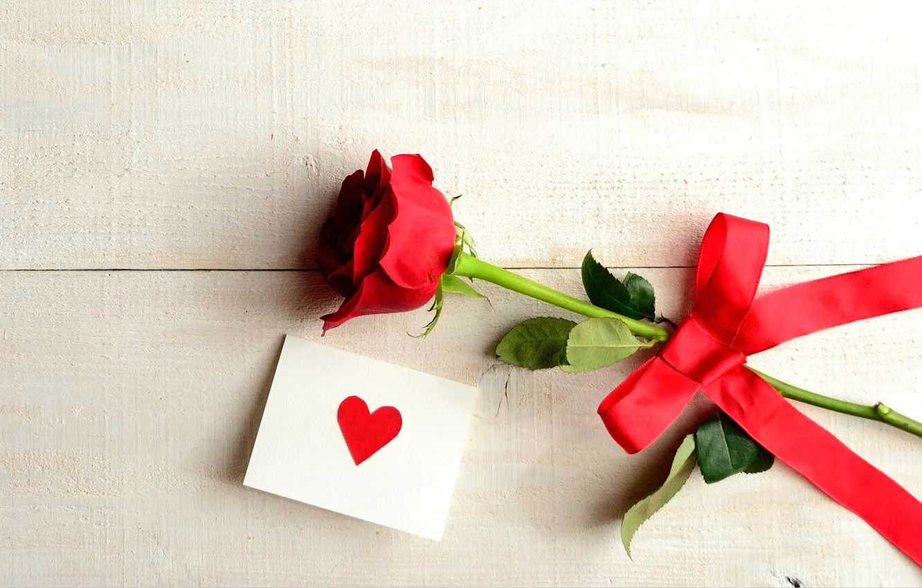 Фото обои цветок, любовь, праздник, сердце, роза, love, rose, flower