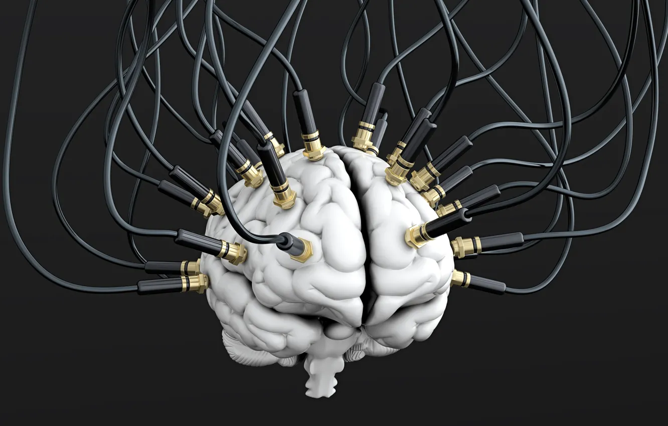 Фото обои провода, кабели, мозг, brain