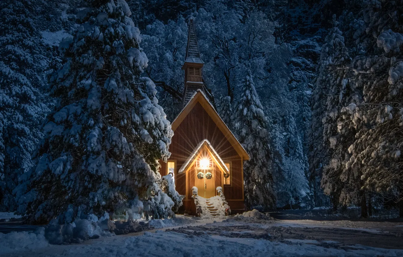 Фото обои зима, лес, снег, деревья, ночь, ели, Калифорния, часовня
