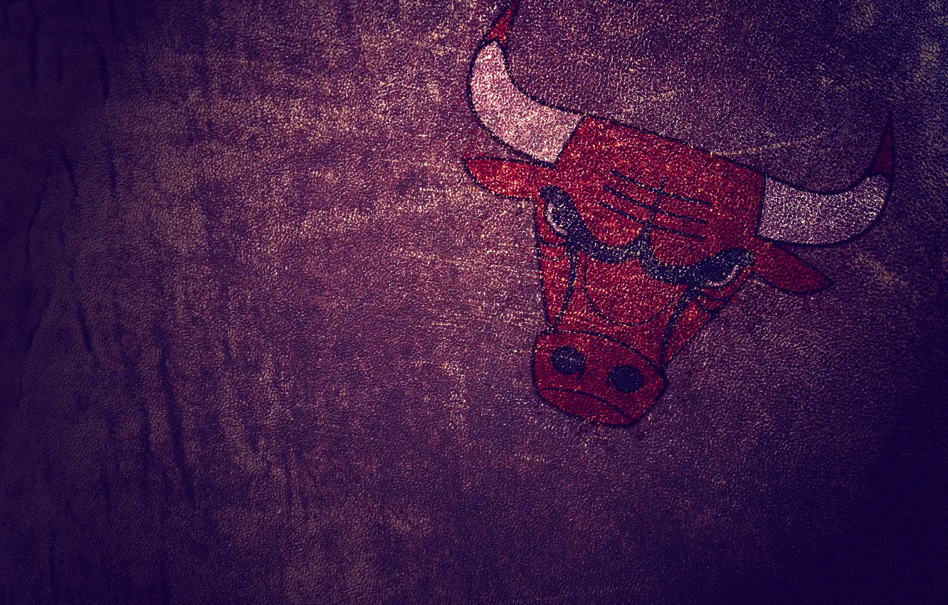 Фото обои минимализм, кожа, Chicago Bulls, бык