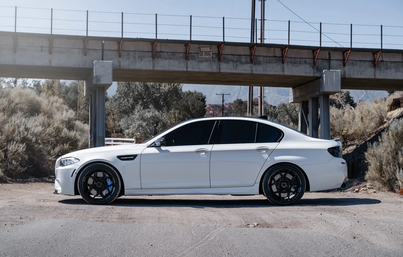 Фото обои bmw, white, wheels, f10, m5