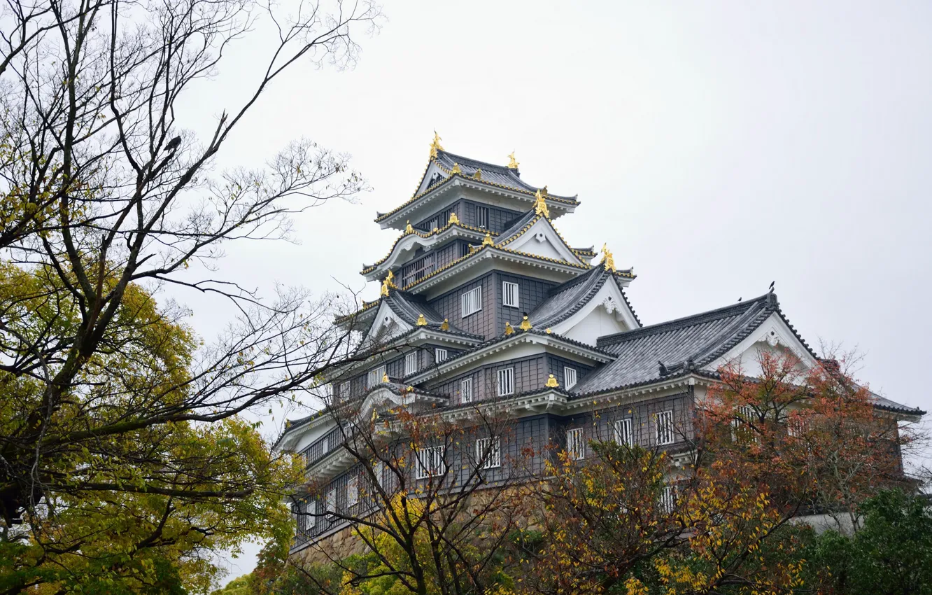 Фото обои осень, замок, Япония, Japan, Okayama