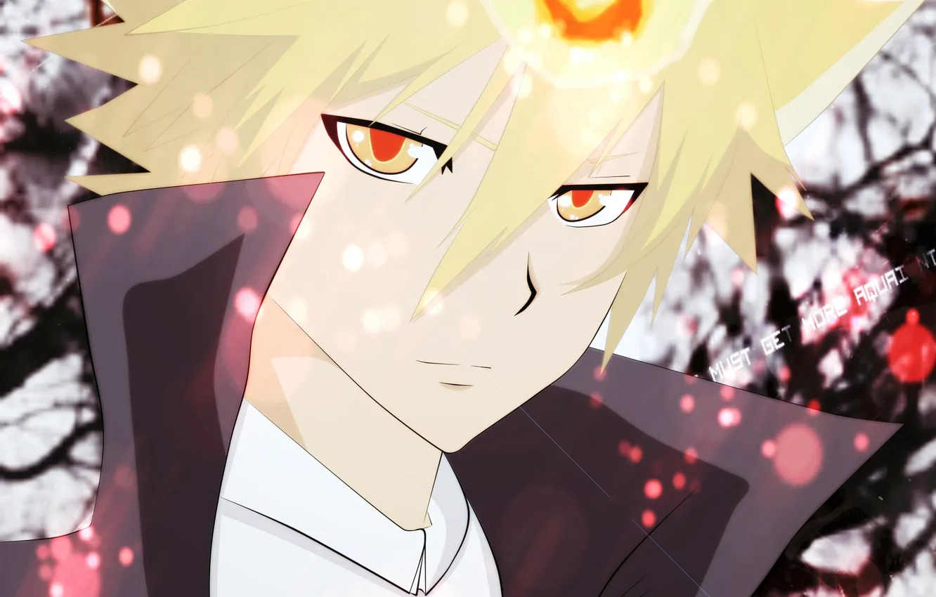 Фото обои огонь, парень, Katekyo Hitman REBORN, Учитель мафиози Реборн, Вонгола Примо