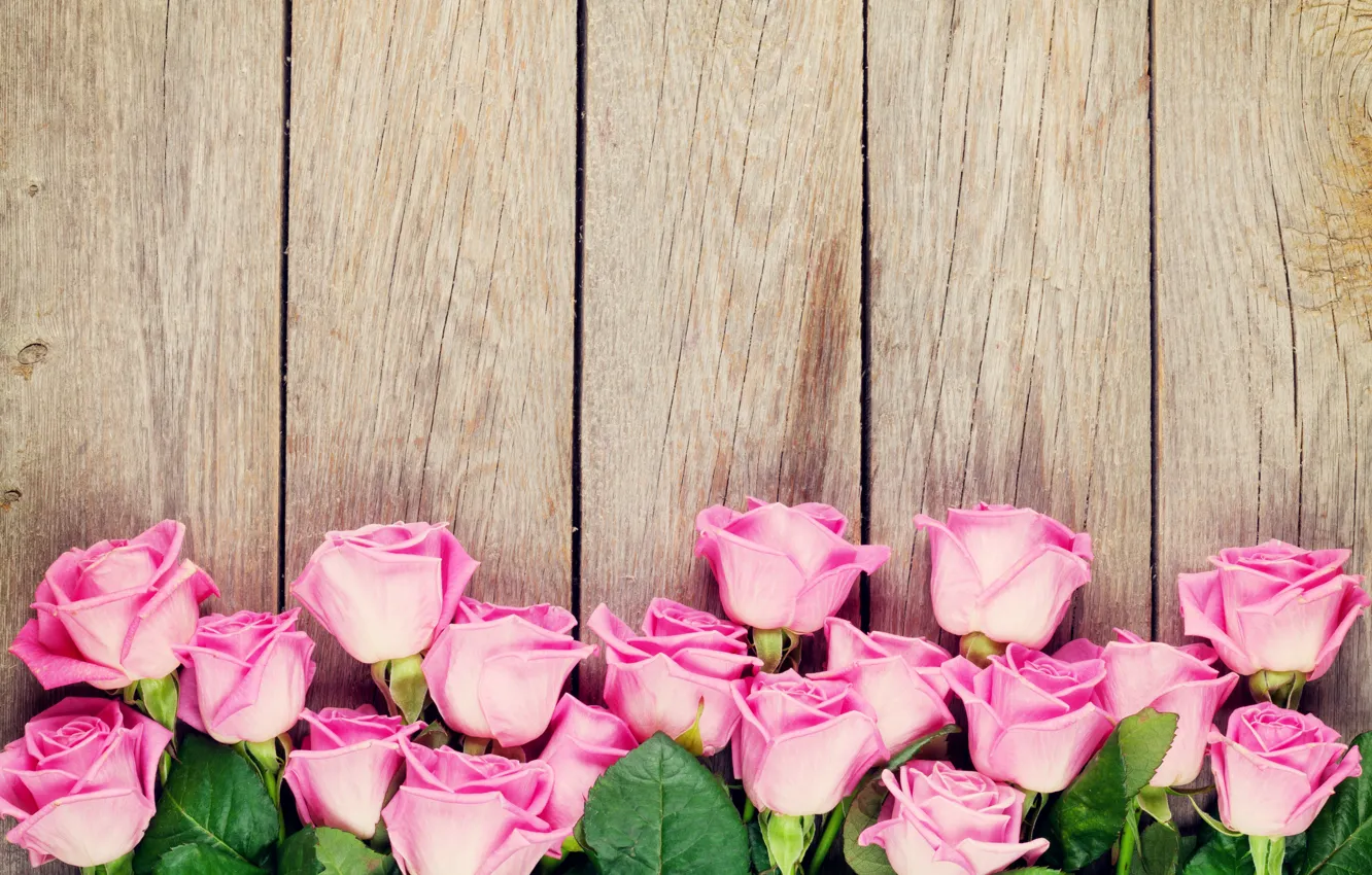 Фото обои розы, wood, pink, romantic, roses, розовые розы