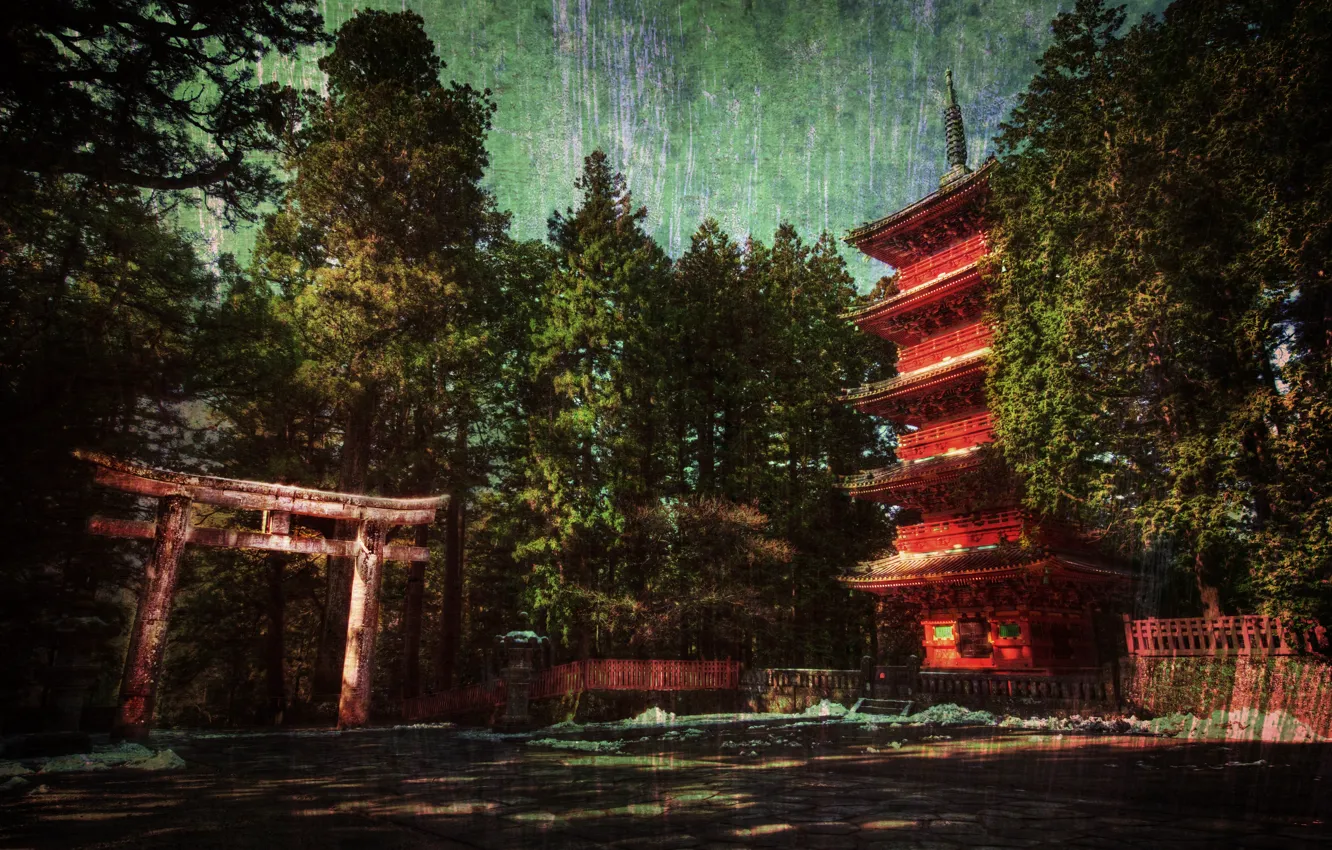 Фото обои лес, дом, япония