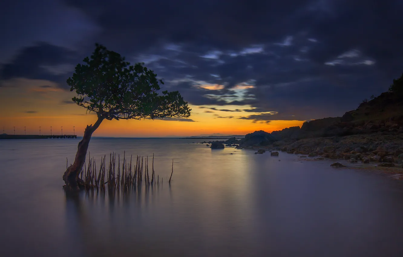 Фото обои облака, дерево, Индонезия, зарево, остров Ломбок, Awang Beach