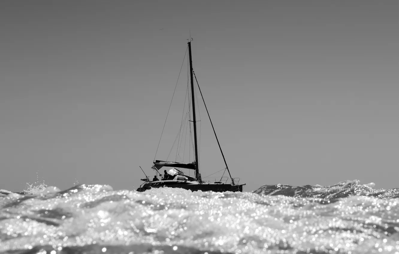 Фото обои sea, sailing, catamaran