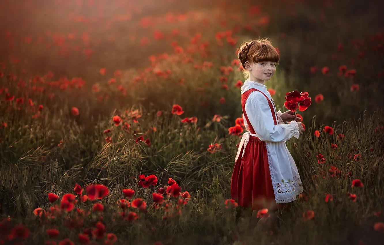 Фото обои цветы, маки, луг, девочка, веснушки, рыжая, конопатая