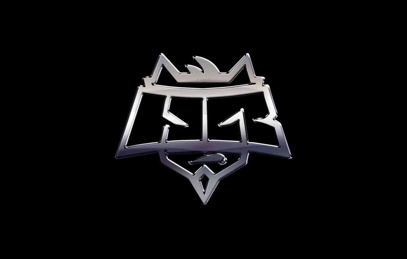 Фото обои games, team, cs:go, pro, hellraisers, pro team