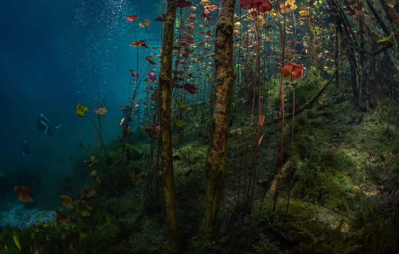 Фото обои озеро, дайвинг, lake, diving, Jennifer Lu