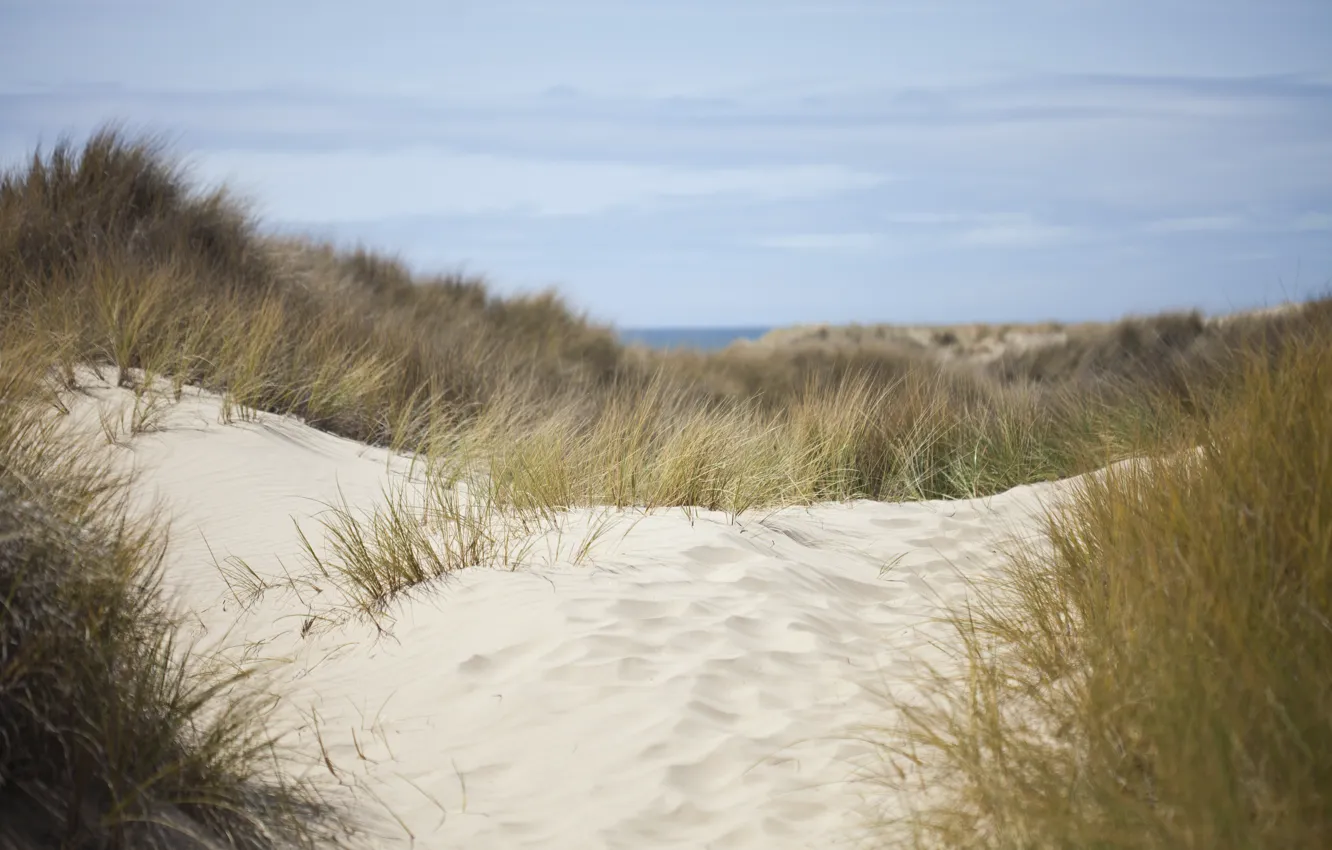 Фото обои песок, море, небо, трава, природа, дюны