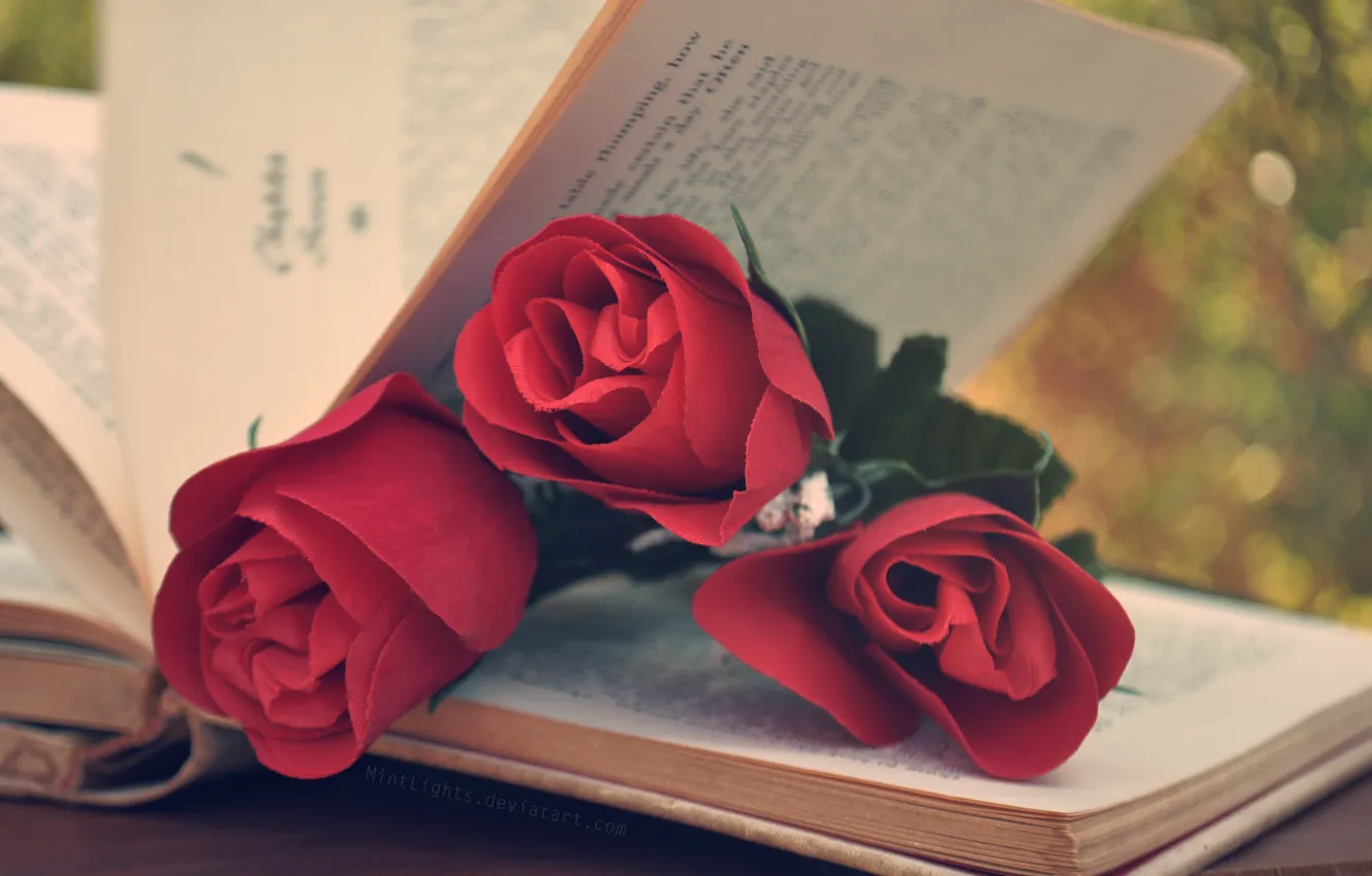 Фото обои цветы, розы, красные, книга, страницы