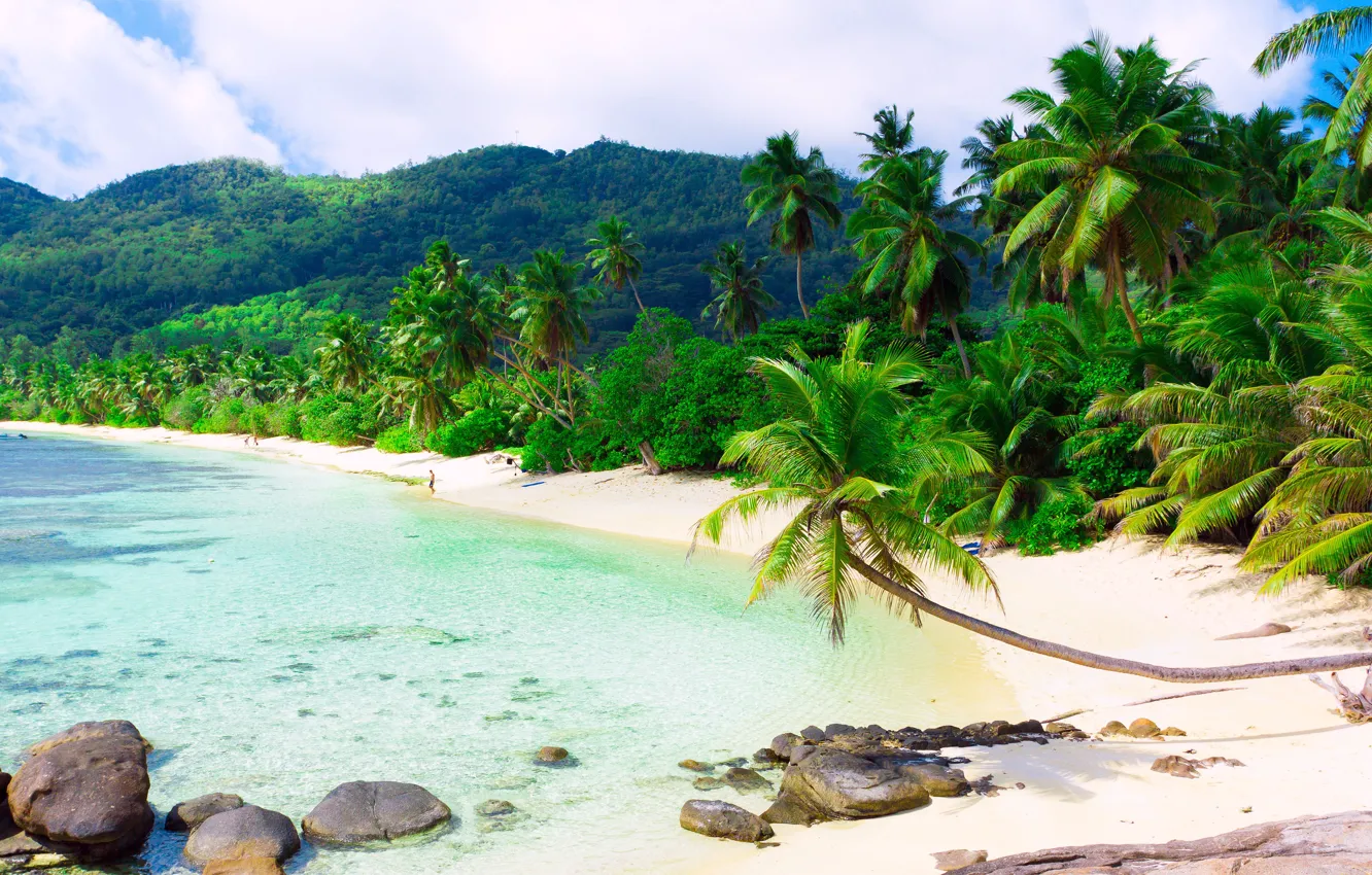 Фото обои песок, море, пляж, облака, пейзаж, тропики, пальмы, остров