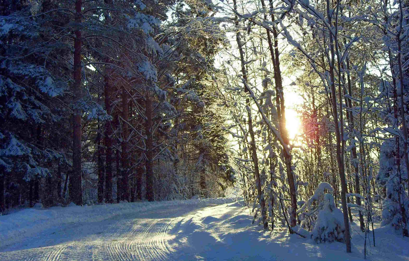 Фото обои зима, дорога, лес, солнце, снег