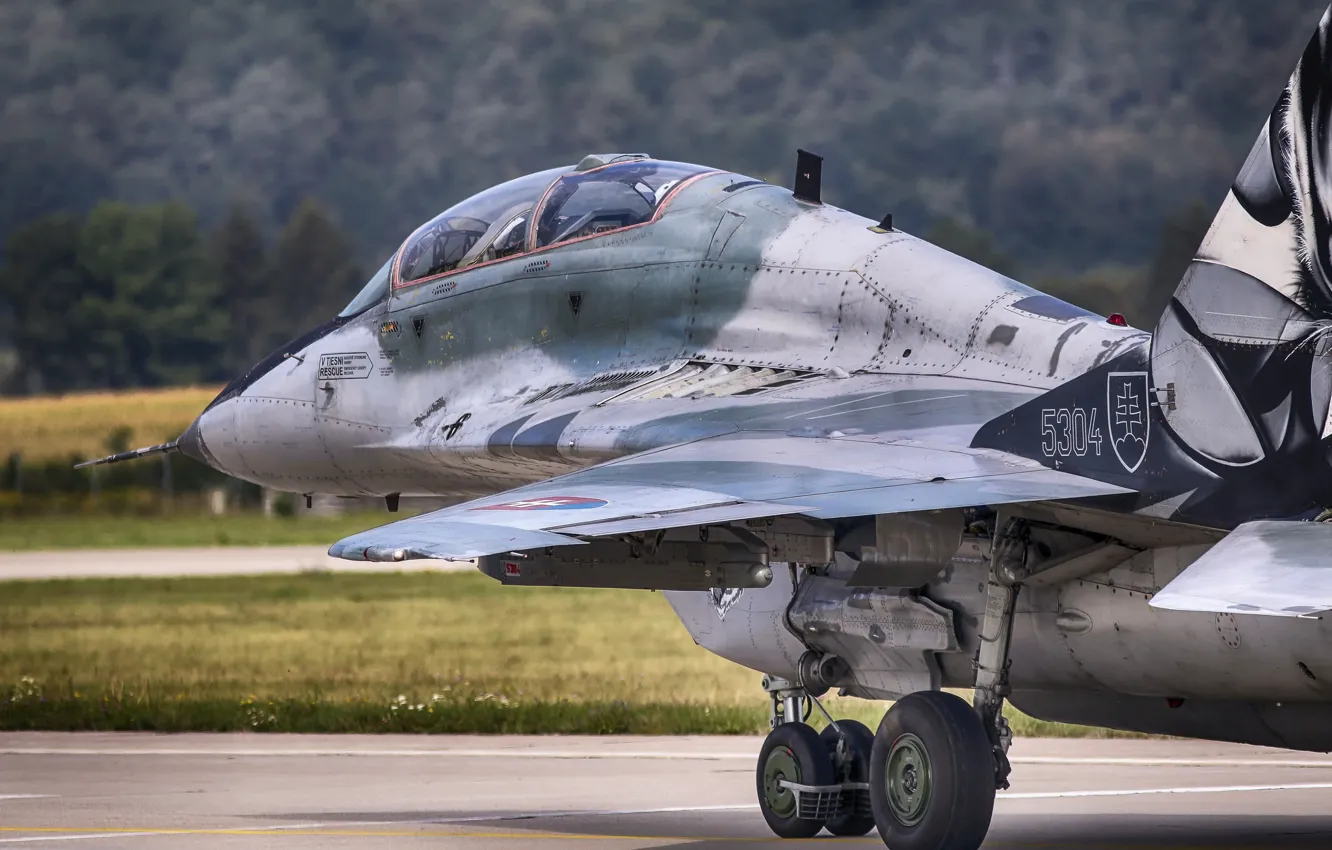 Фото обои истребитель, МиГ-29, Mikoyan Guervich, MiG-29UB