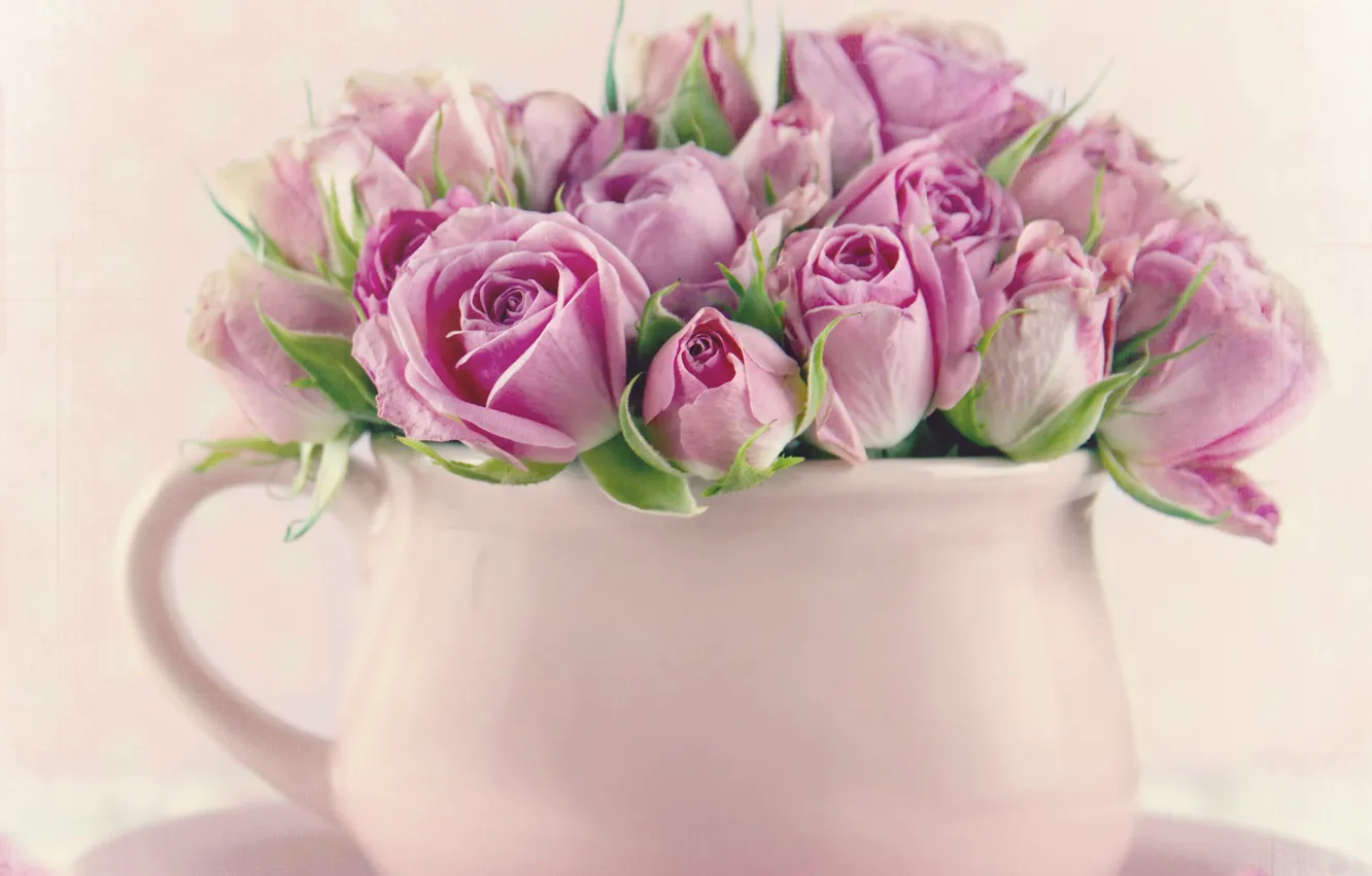 Фото обои розы, текстура, кружка, бутоны