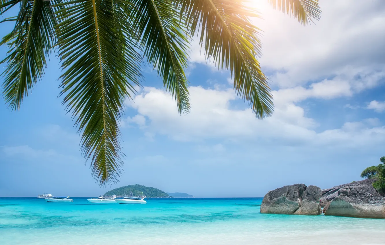 Фото обои песок, море, пляж, листья, вода, солнце, пальмы, рай