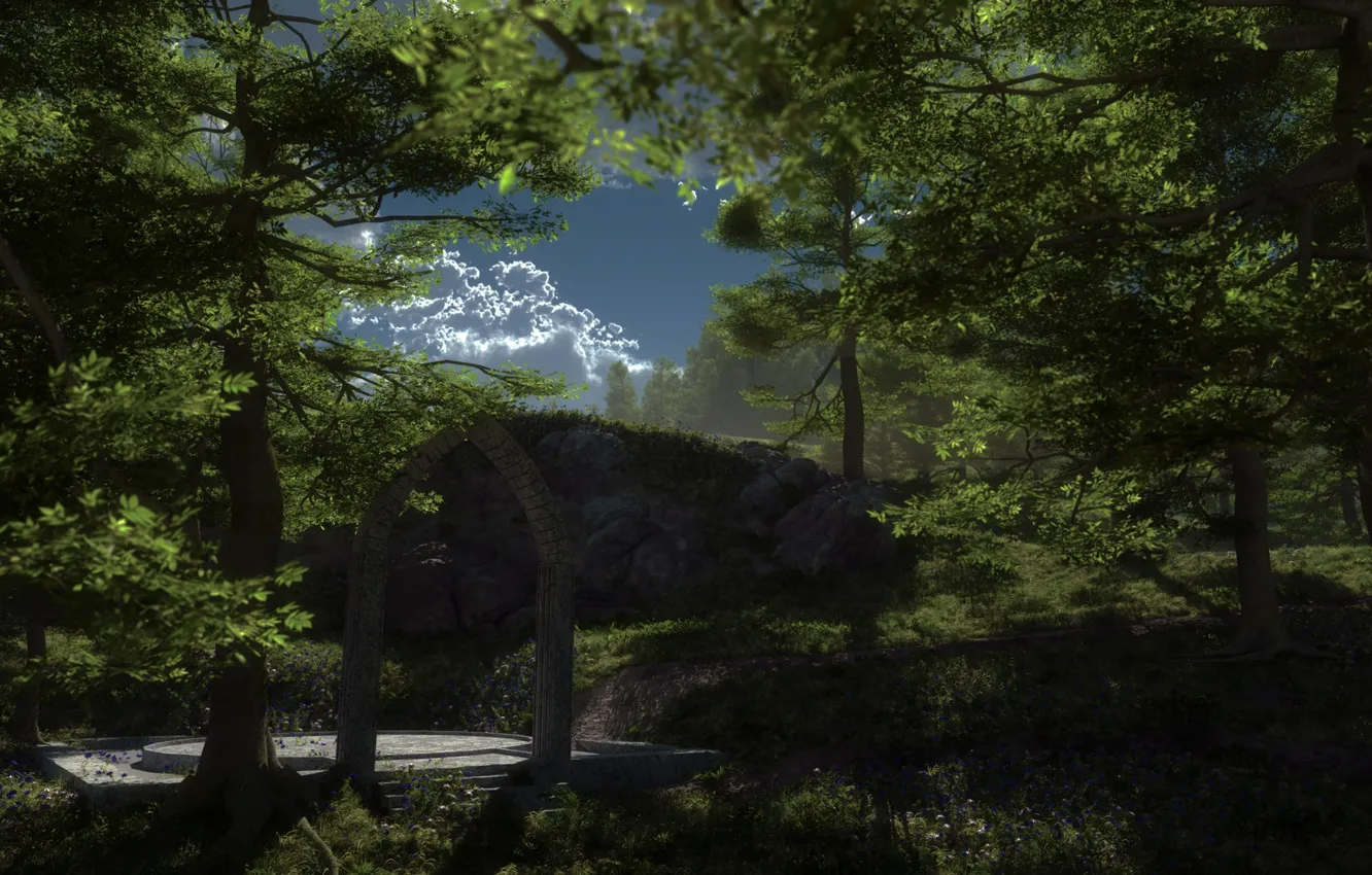 Фото обои лес, арка, The Arch