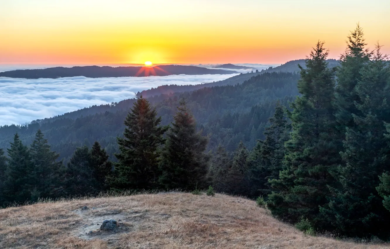 Фото обои United States, California, Las Baulines, Mount Tamalpais