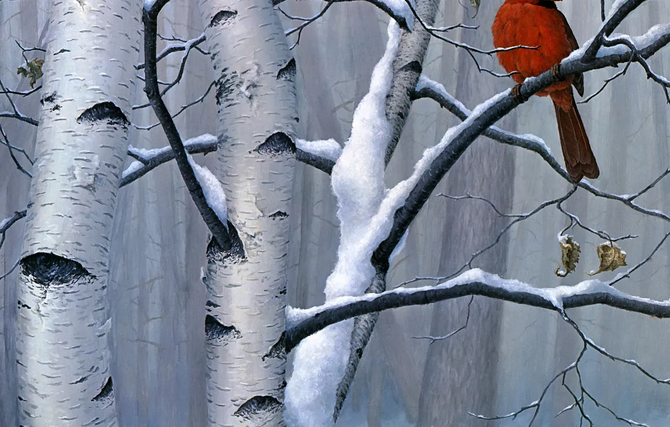 Фото обои зима, лес, снег, ветки, красный, природа, дерево, птица