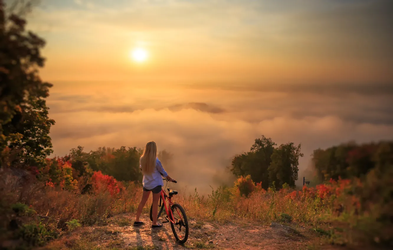 Фото обои девушка, пейзаж, велосипед, красота