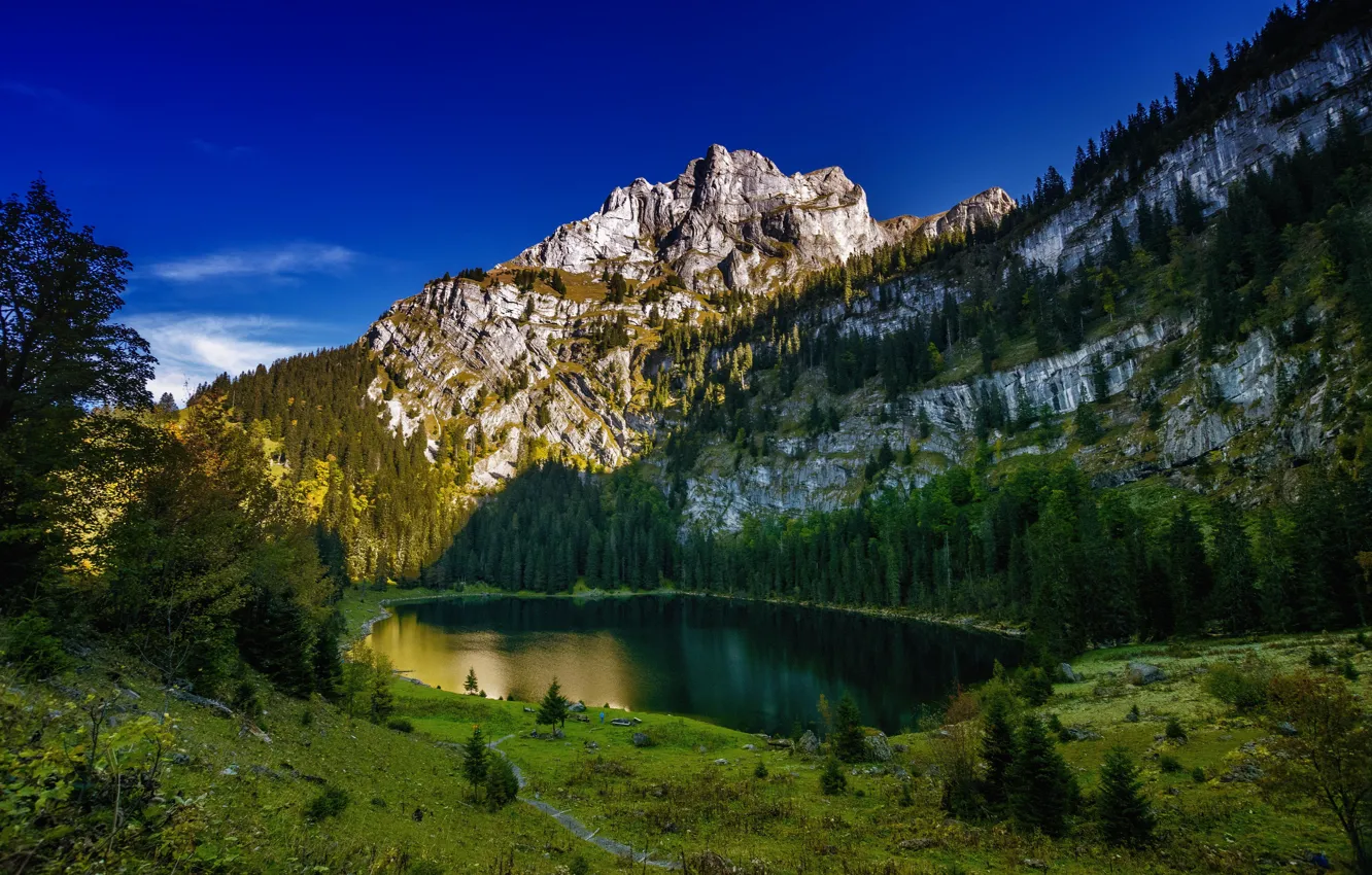 Фото обои деревья, горы, озеро, Швейцария, Switzerland, Canton of Berne, Bernese Alps, Бернские Альпы